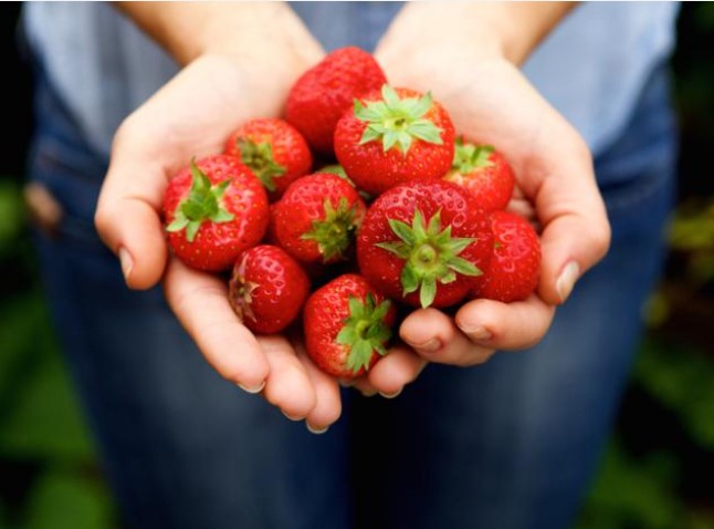 Διαιτολόγος Διατροφολόγος